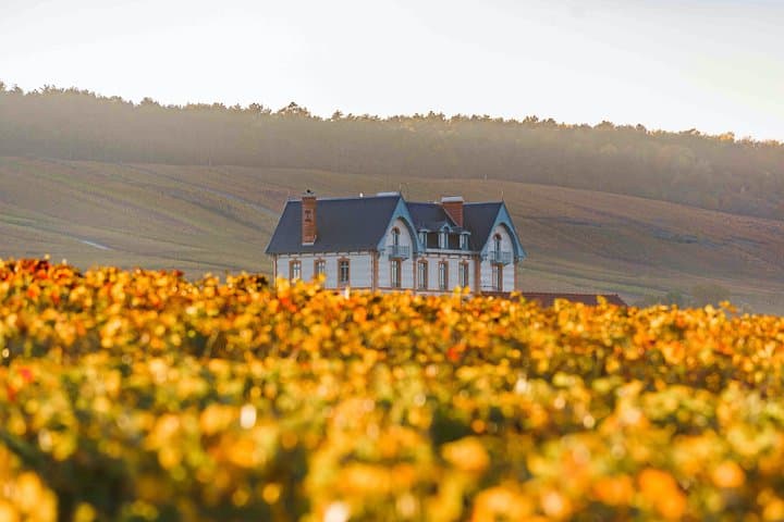 Private tour of the Champagne area, meet local producers and taste their Champagne, start from your hotel in Paris. — photo 9