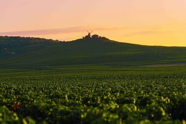 Private tour of the Champagne area, meet local producers and taste their Champagne, start from your hotel in Paris. — photo 10