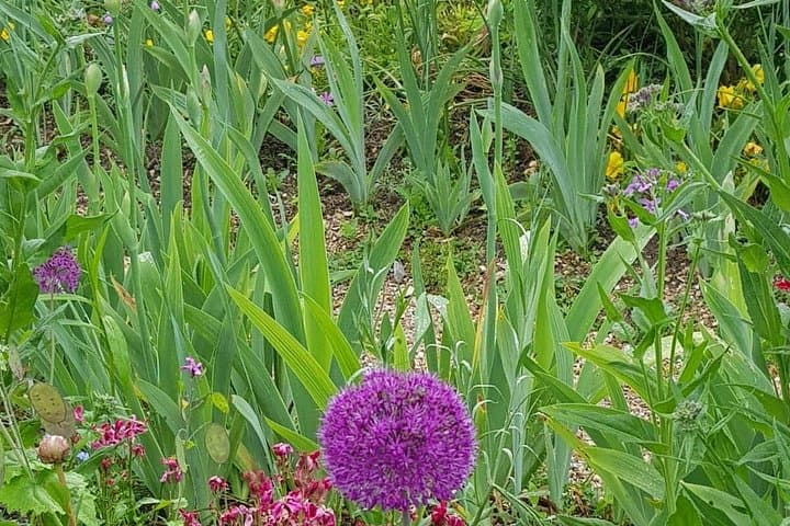 Private Car Trip to Giverny Garden from Paris — photo 4