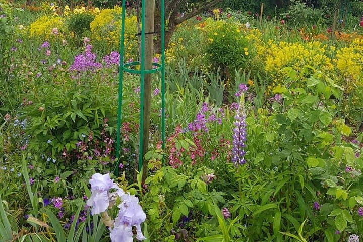 Private Car Trip to Giverny Garden from Paris — photo 6