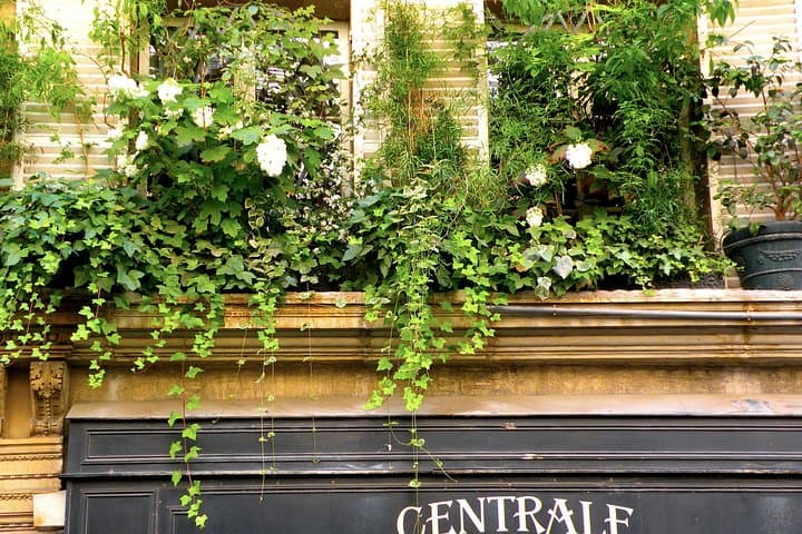 Private Tour of Saint Germain des Pres — photo 2