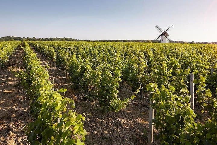 Loire Valley Castles Day Trip from Paris & Tasting with Pickup — photo 13