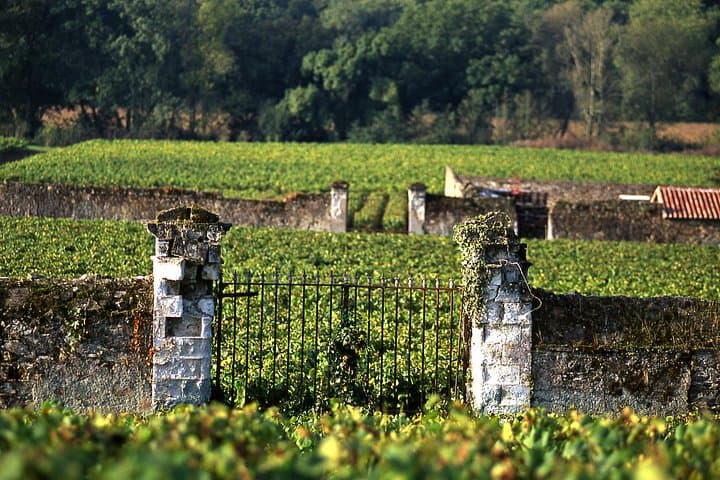 Loire Valley Wine & Castle Tour from Paris With Tasting & Pickup — photo 8