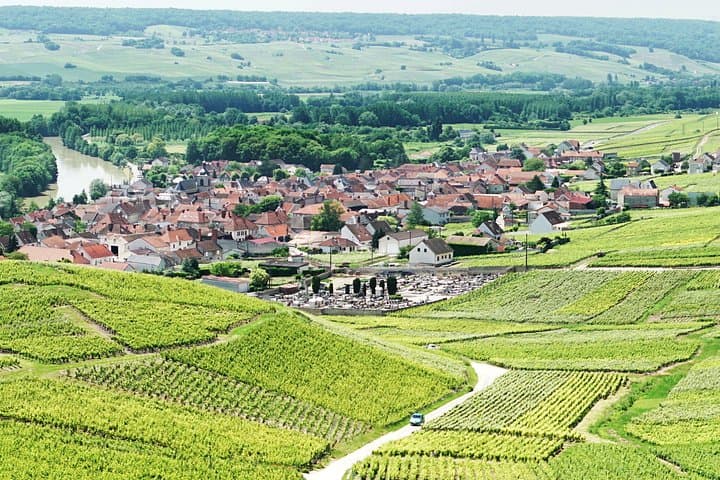 Champagne Day Trip with 6 Tastings, Reims and Winery from Paris — photo 3