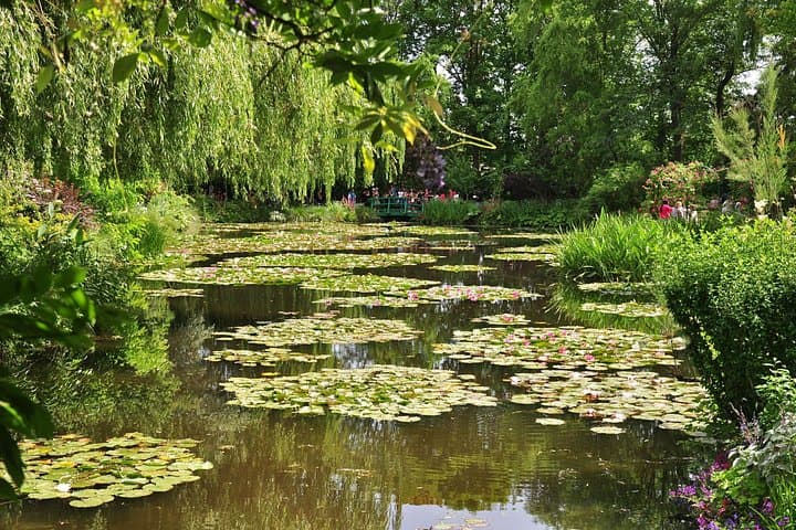 Giverny with small group — photo 2