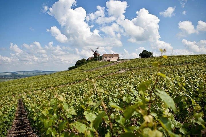 Private 10-hour round transfer to Champagne Epernay from Paris. Best offer! — photo 3