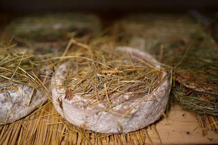 Paris Art of Pairing Cheese and Wine Tasting in a Cheese Cellar — photo 12