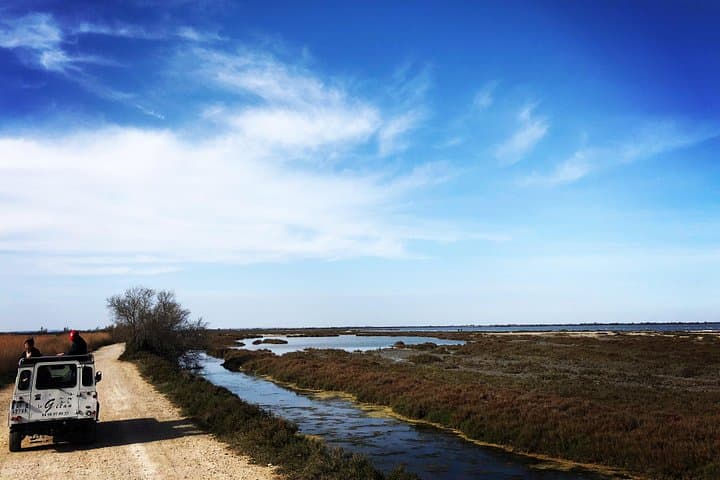 Safari 4x4 Camargue 2 hours - Saintes Maries de la Mer - Private Tour