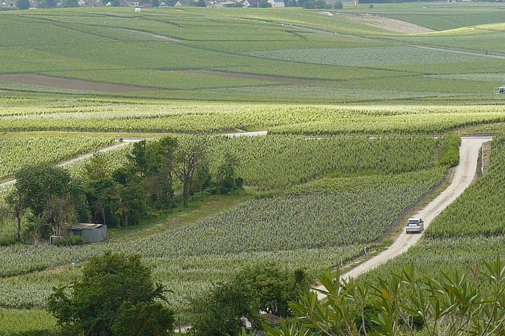 Celebrate in Champagne - Custom Planned Visits, Tastings & Lunch