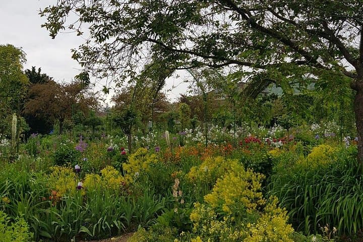 Private Car Trip to Giverny Garden from Paris — photo 9