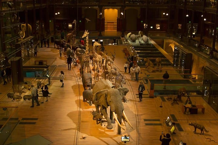 Paris Private Family Tour - Highlights & the Best Museum for Kids — photo 4
