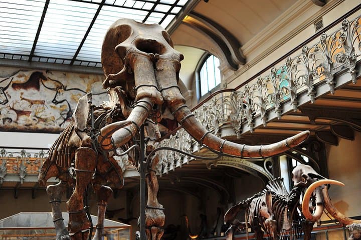 Paris Private Family Tour - Highlights & the Best Museum for Kids — photo 8
