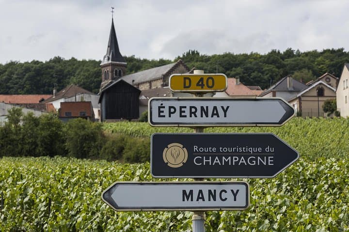 Private Champagne Day Trip - Two Vineyards of Reims & Lunch — photo 12