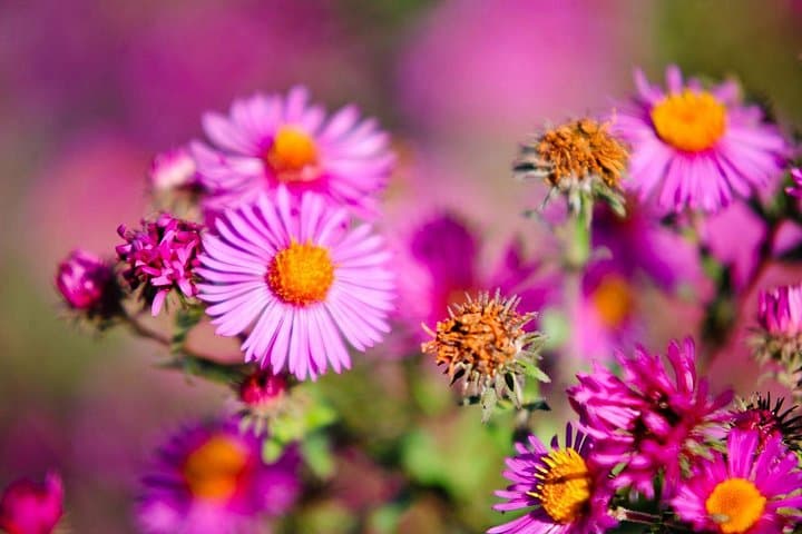 Photo course - Level 2: Light and Colors — photo 6