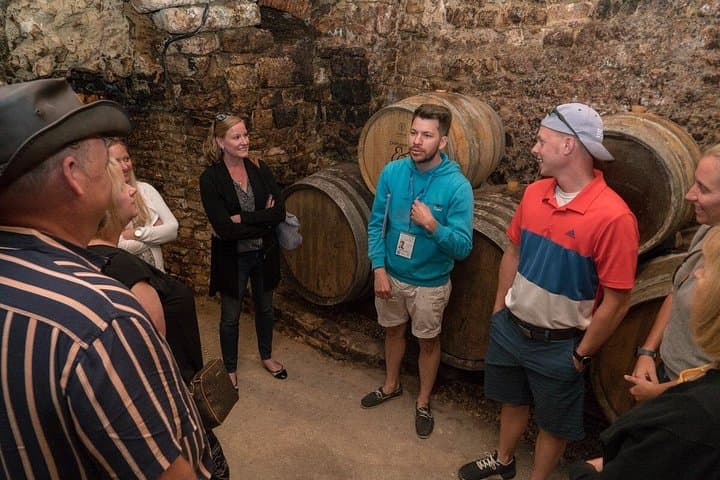 Burgundy Wine Tasting Small-Group Tour in Chablis from Paris — photo 10
