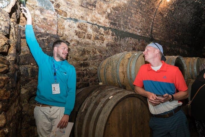 Burgundy Wine Tasting Small-Group Tour in Chablis from Paris — photo 4