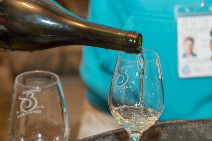 Burgundy Wine Tasting Small-Group Tour in Chablis from Paris — photo 14