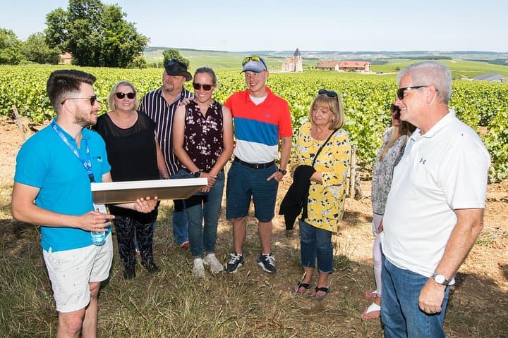 Burgundy Wine Tasting Small-Group Tour in Chablis from Paris — photo 19