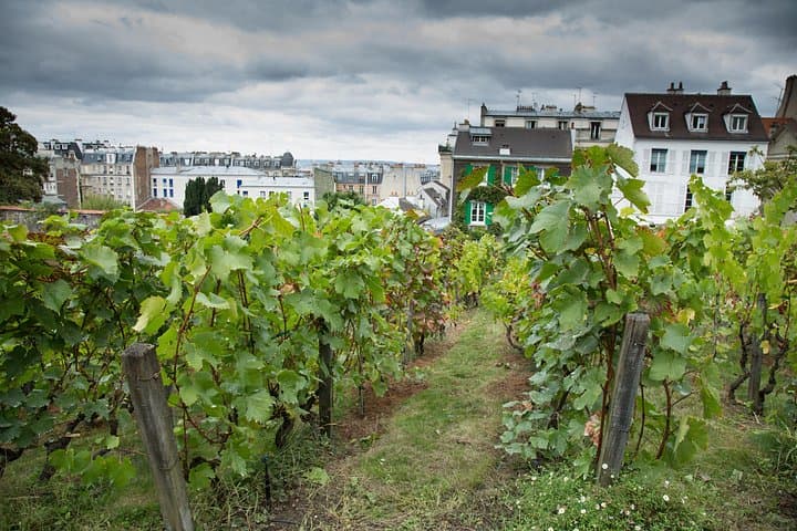 Paris Private Full Day Tour: Montmartre, Sights & Eiffel Tower — photo 19