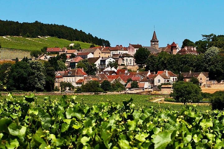 Chablis 20 Exquisite Wines Tasting Trip in Small-Group from Paris — photo 8