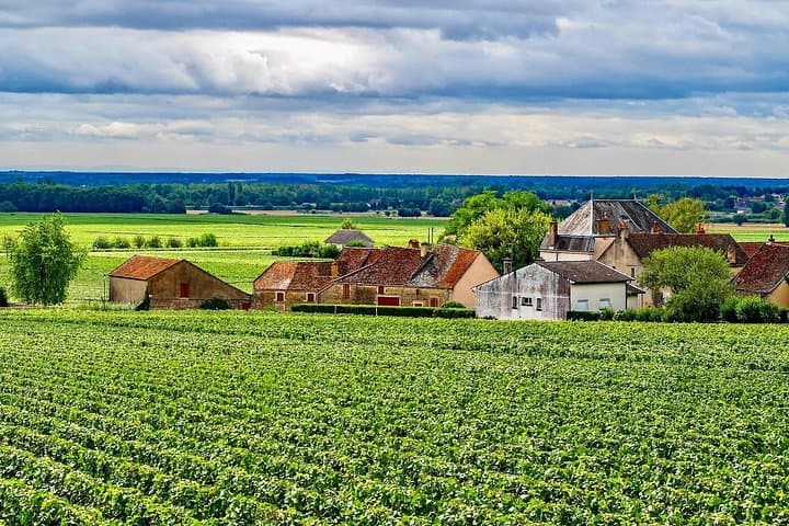 Chablis 20 Exquisite Wines Tasting Trip in Small-Group from Paris — photo 13