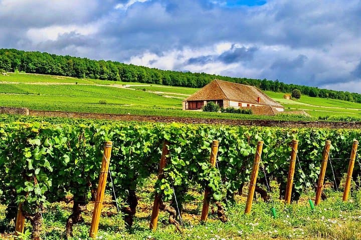 Private Burgundy 3 Domaines Chateau Pommard Chablis 15 Wines Trip — photo 5