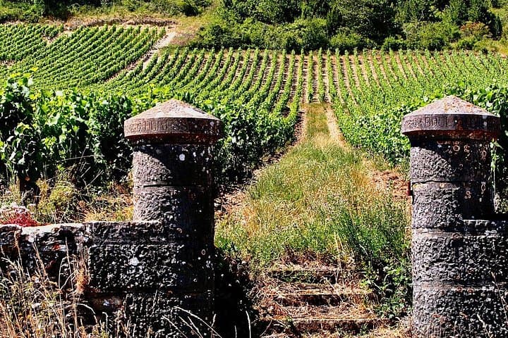 Private Burgundy 3 Domaines Chateau Pommard Chablis 15 Wines Trip — photo 14