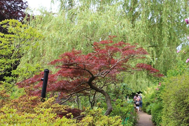 Giverny Small-Group Minivan with Hotel Pickup or Meeting Point — photo 7