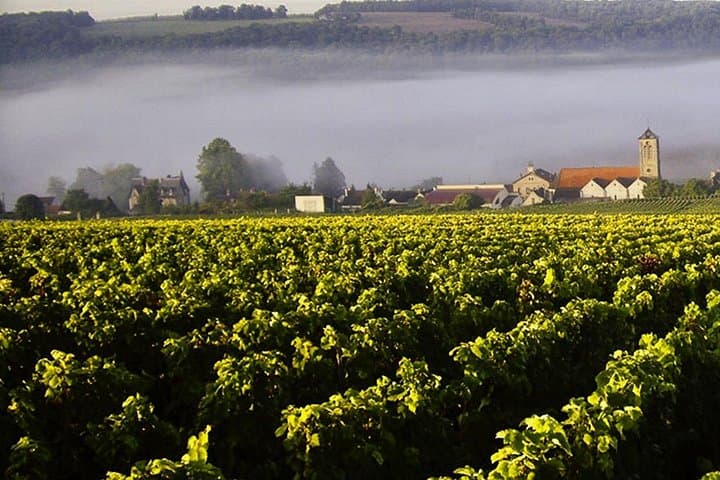 Moet et Chandon Pressoria Champagne Small Group from Paris — photo 16