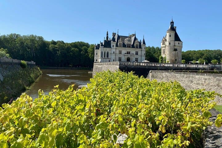 Loire Castles Chenonceau, Chambord & 2 Wineries Private Trip — photo 16