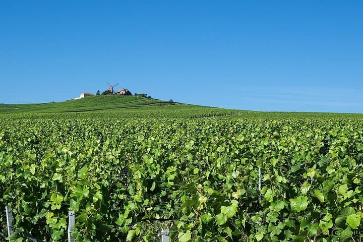 Private Full Day Tour to Champagne from Paris, Visit of 2 Champagne Producers — photo 9