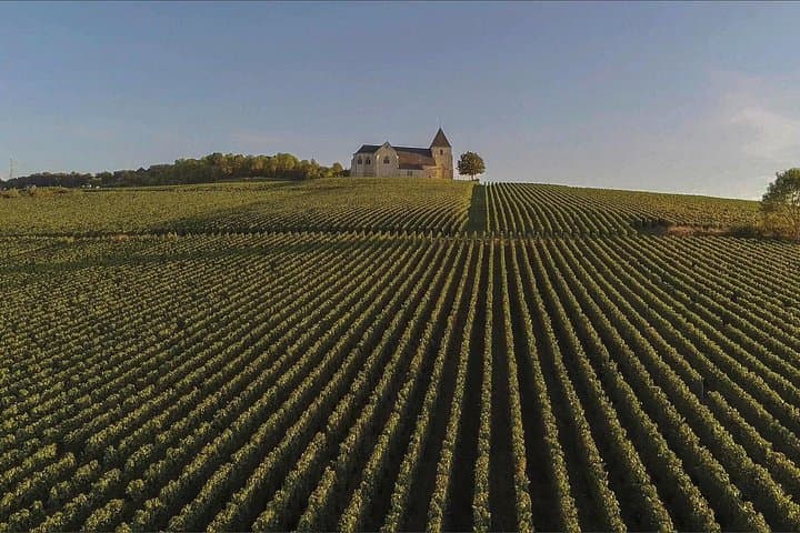 Private Full Day Tour to Champagne from Paris, Visit of 2 Champagne Producers — photo 12