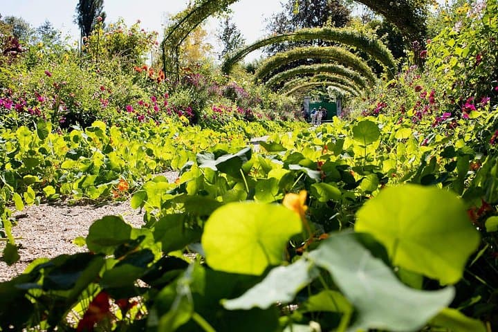 Private Giverny Monet’s House & Gardens Half-Day Tour from Paris — photo 6
