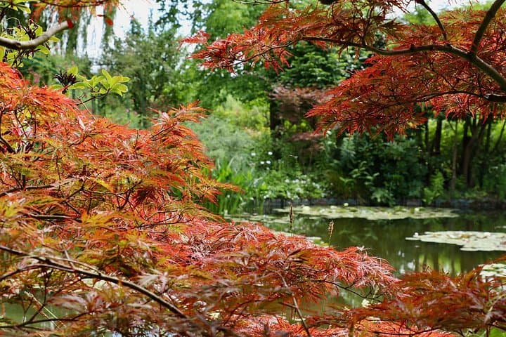 Private Giverny Monet’s House & Gardens Half-Day Tour from Paris — photo 9