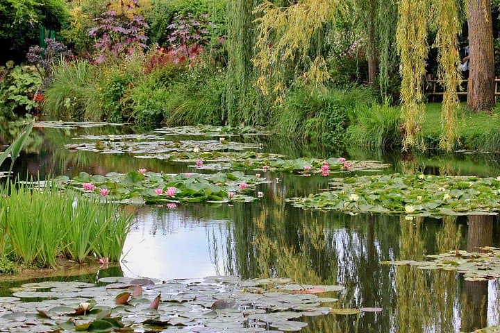 Private Giverny Monet’s House & Gardens Half-Day Tour from Paris — photo 12