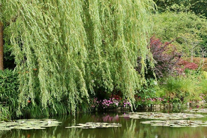 Private Giverny Monet’s House & Gardens Half-Day Tour from Paris — photo 13