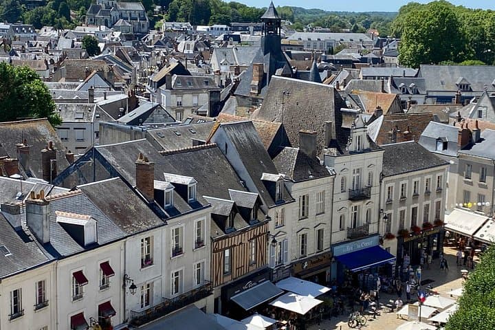 Live Guided Chenonceau, Chambord, Amboise Castles trip from Paris — photo 18