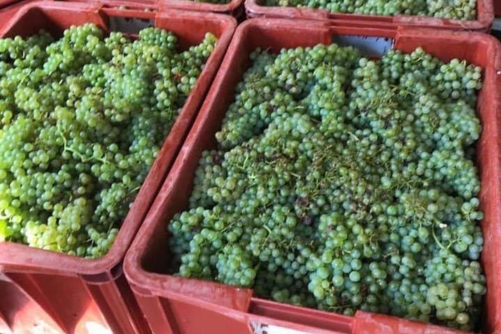 Champagne Region Private Day Trip from Paris — photo 15