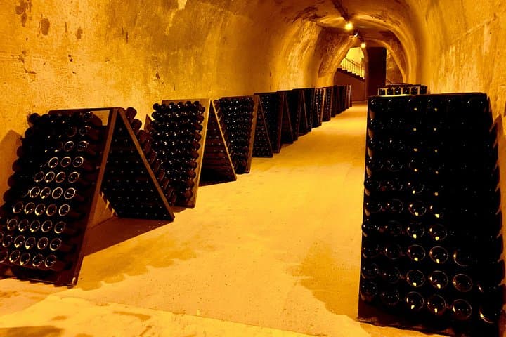 Private Full Day Tour to Champagne from Paris, Visit of 2 Champagne Producers — photo 5