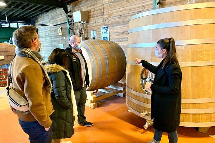 Private Full Day Tour to Champagne from Paris, Visit of 2 Champagne Producers — photo 6