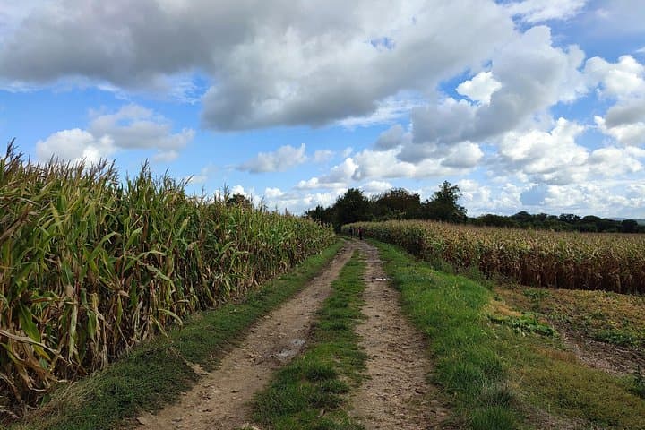 Hiking Adventure in Van Gogh's Footsteps with 6 miles walk — photo 9