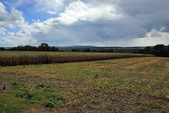 Hiking Adventure in Van Gogh's Footsteps with 6 miles walk — photo 12