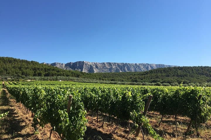 Short Day Tour around Aix en Provence and Wine Tasting