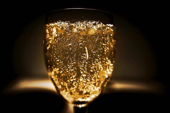 Moet et Chandon Pommery Pressoria Champagne Private trip — photo 12