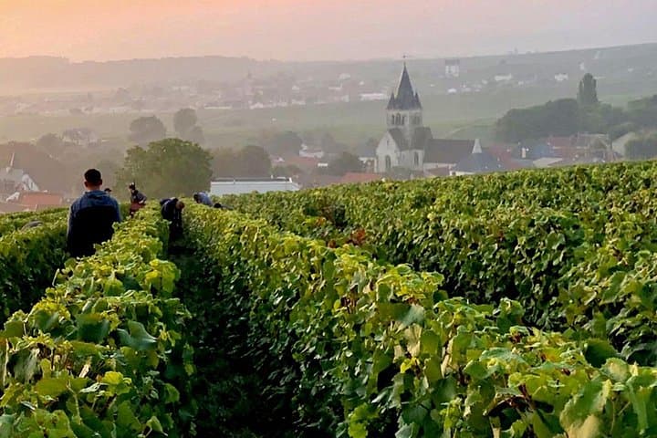 Moet et Chandon Pressoria Champagne Small Group from Paris — photo 3