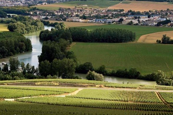 Moet et Chandon Vineyards Cellars 7 tastings Private Champagne — photo 14