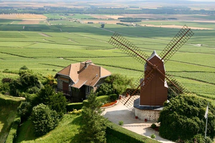 Moet et Chandon Vineyards Cellars 7 tastings Private Champagne — photo 15