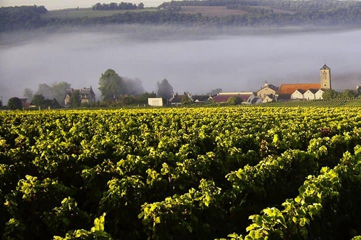 Moet et Chandon Vineyards Cellars 7 tastings Private Champagne — photo 2