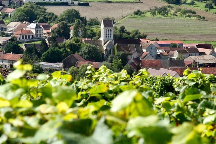 Moet et Chandon Vineyards Cellars 7 tastings Private Champagne — photo 20