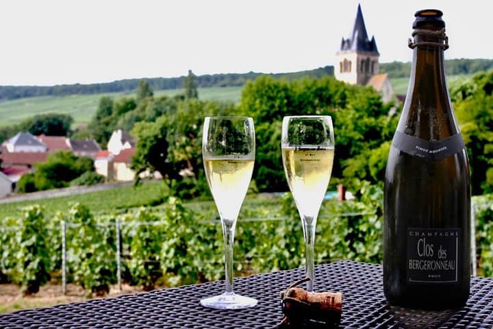 Moet et Chandon Pressoria Champagne Small Group from Paris — photo 15